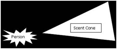 scent cones dogs