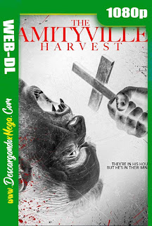 The Amityville Harvest (2020)  