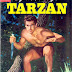 Tarzan #83 - Russ Manning art 