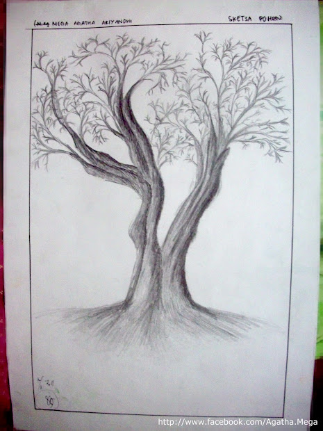 Kumpulan Mewarnai Gambar Sketsa Pohon Nangka - Desain