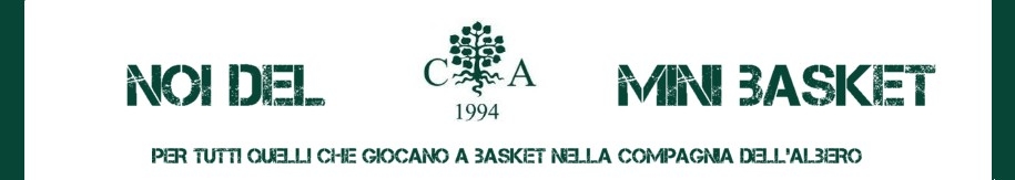 Noi del Minibasket