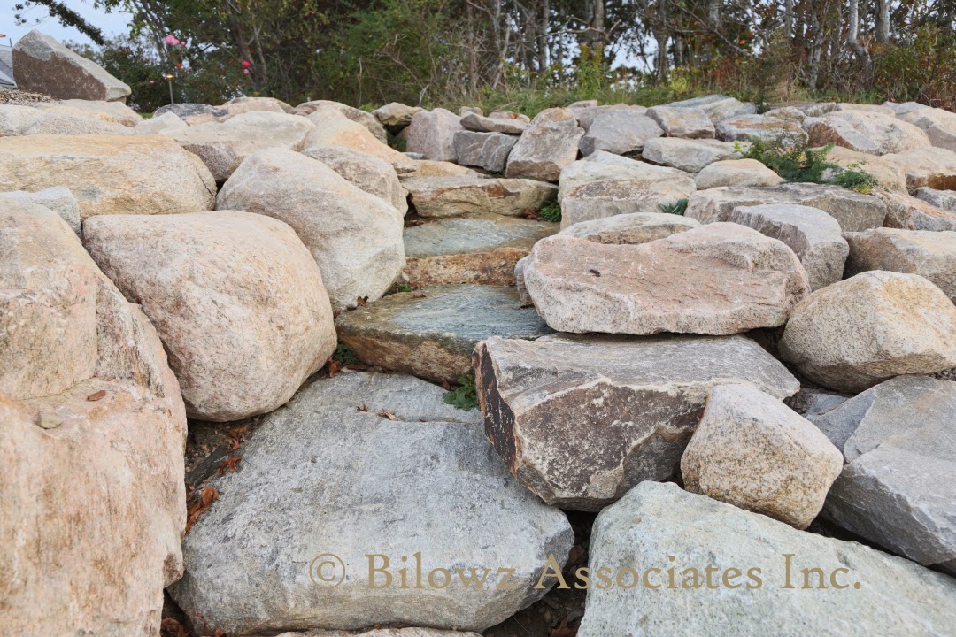 Annie's Gardening Corner: True Creation of Harmony & Balance