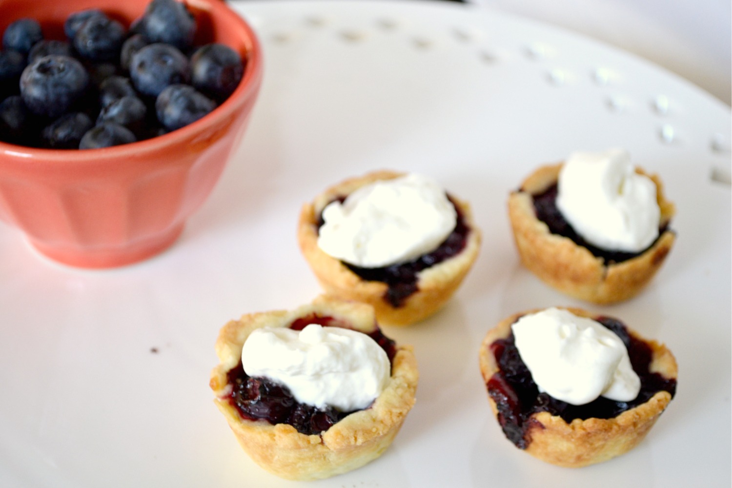 Mini Blueberry Pie Recipe