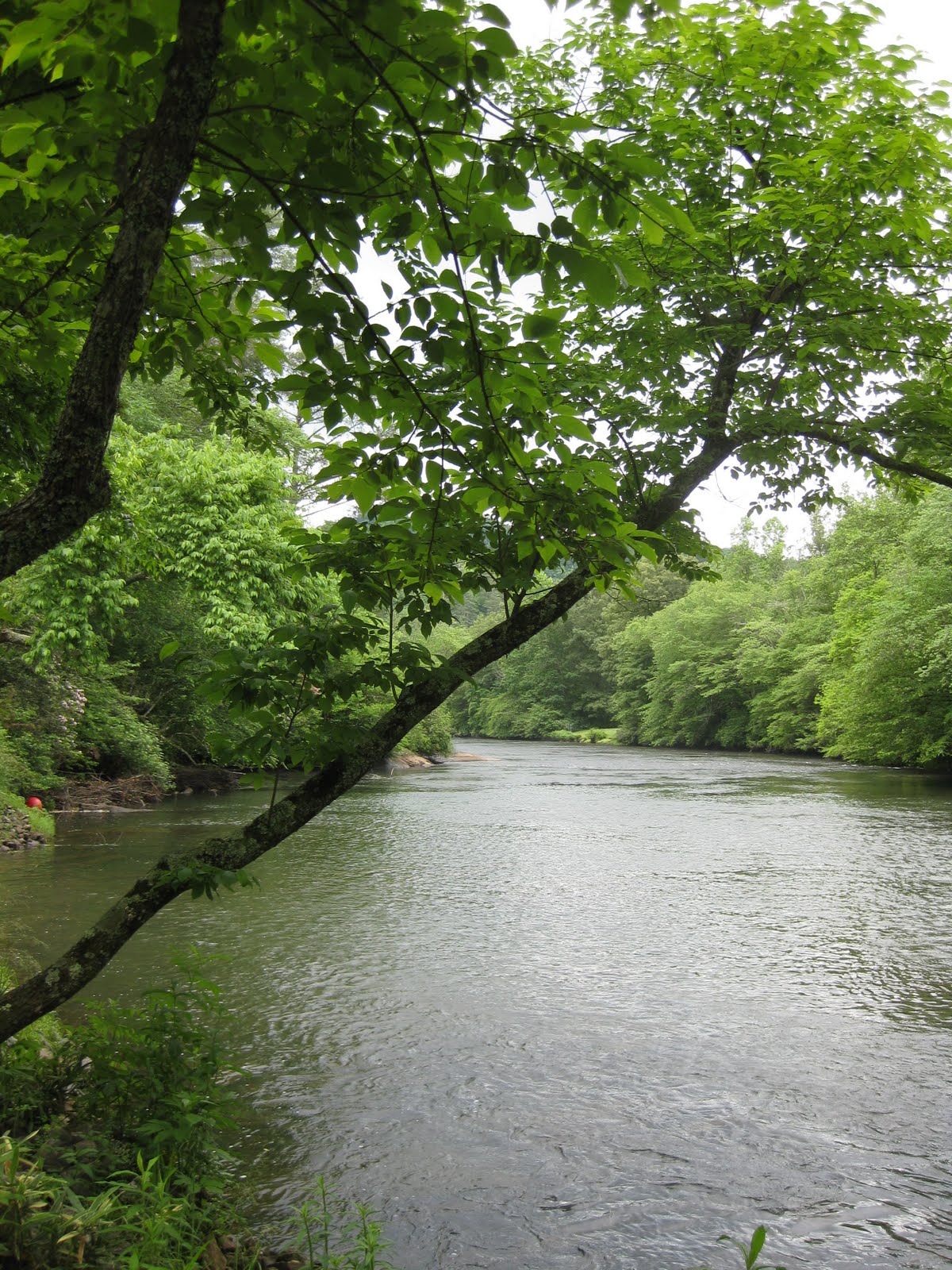 Good things happened: R is for River, Resting and Resurgens