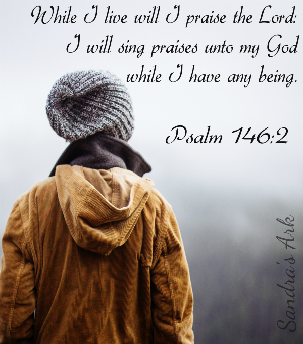 Sandra s Ark Pondering The Psalms Psalm 146 sandra-s-ark-pondering-the-psalms-psalm-146