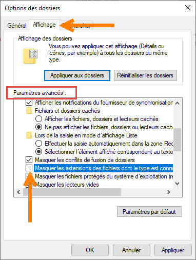 Activez l'affichage des extensions de fichier sous winodows 10