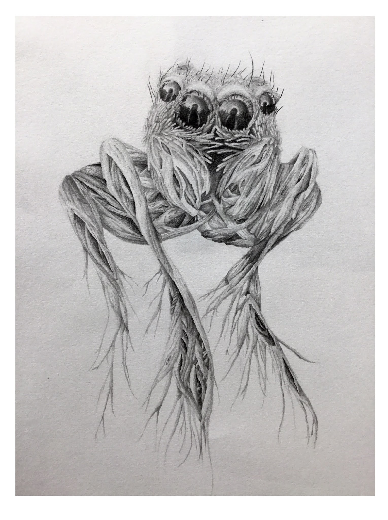 fineartasfc: More Amazing Biomorphic Drawing - Fabulous Grace