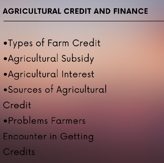 Agricultural Financing