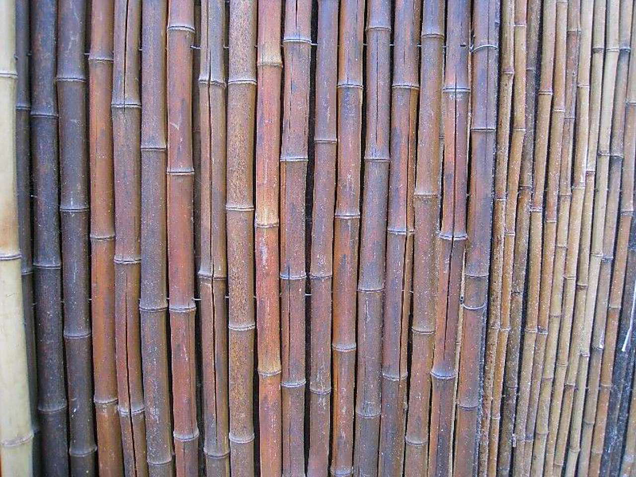 cara-meluruskan-bambu-bengkok.jpg