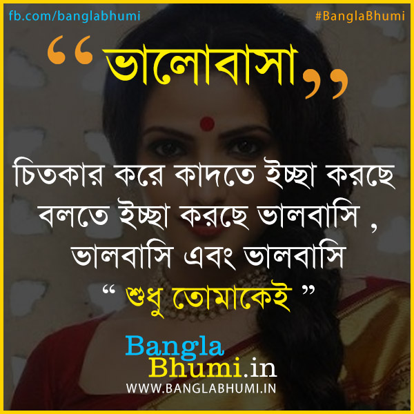 Bangla Shayari Comment Photo Wallpaper