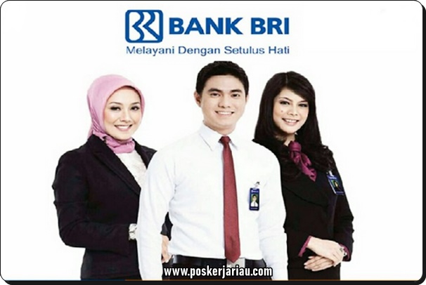 Foto Seluruh Badan Untuk Melamar Kerja Di Bank Bri
