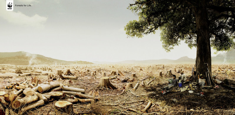WWF Message (Forests for Life)