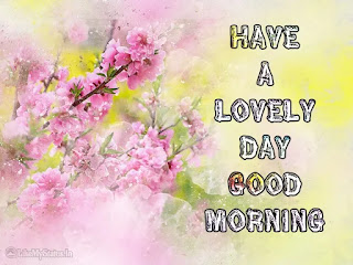 Have a lovely day