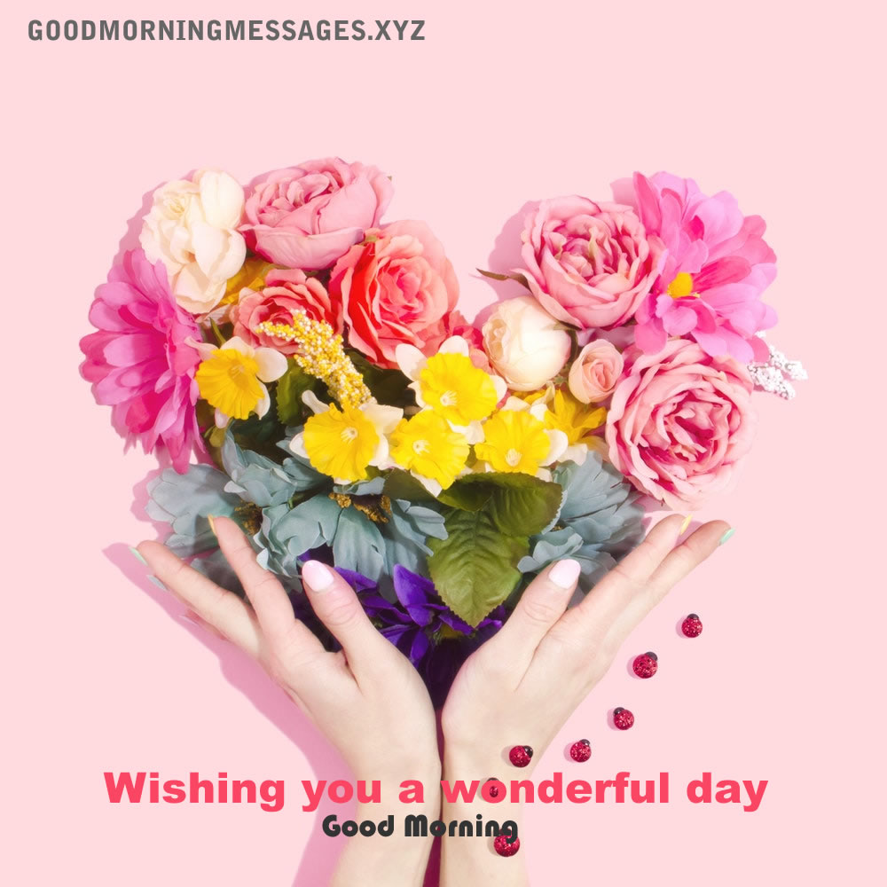 Wishing you a wonderful day