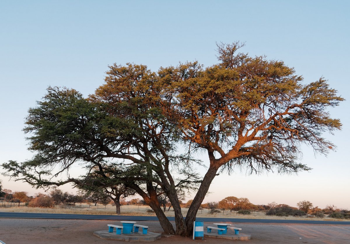 Вшестером по Намибии на джипах в пандемию Вшестером по Намибии на джипах в пандемию