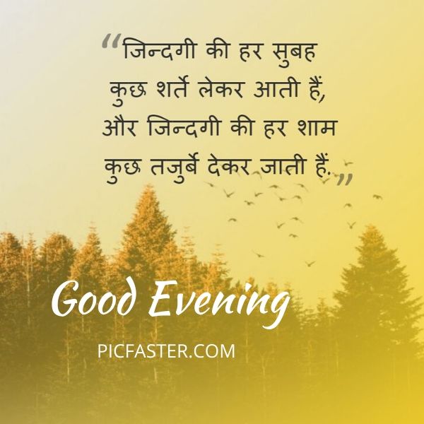 [ Latest ] Good Evening Images In Hindi Shayari Download [2020]