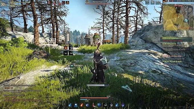 Reasons why Black Desert Online is an awful game