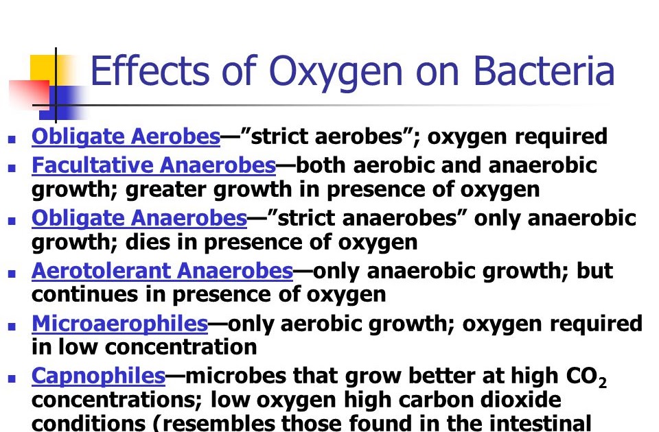 Merlins Micro World Effect of oxygen on the growth and distribution of