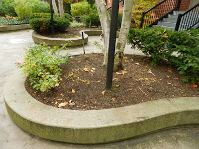 Downtown Courtyard Toronto Fall Cleanup After by Paul Jung Gardening Services--a Toronto Gardening Services Company Downtown Courtyard Toronto Fall Cleanup After by Paul Jung Gardening Services--a Toronto Gardening Services Company