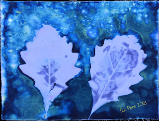 Wet cyanotype_Sue Reno_Image 462