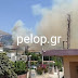      Πύρινος εφιάλτης: Κάηκαν σπίτια στο Σούλι Αχαΐας- Εκκενώθηκαν δύο κοινότητες και καταυλισμός Ρομά