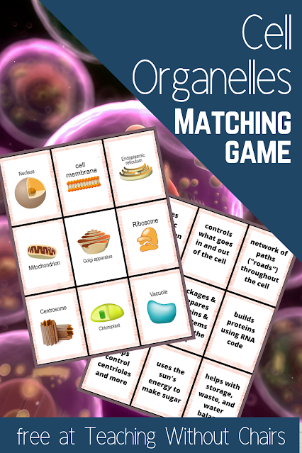 Free Cell Organelles Matching Game Perfect For Homeschool Classes Free Cell Organelles Matching Game Perfect For Homeschool Classes