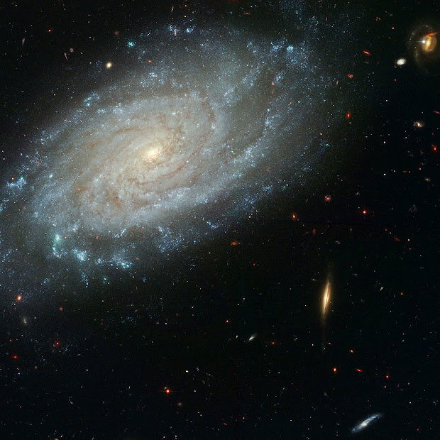 Majestic dusty Spiral Galaxy NGC 3370 as imaged by Hubble