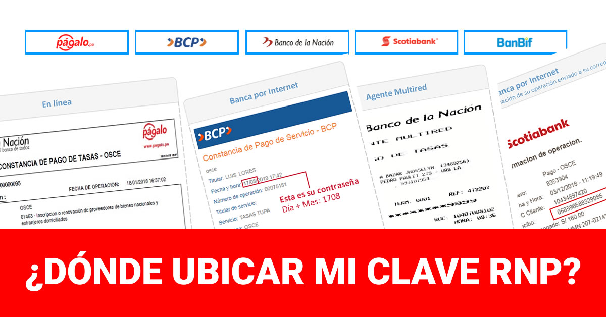 ¿Donde Ubicar Mi Clave RNP?