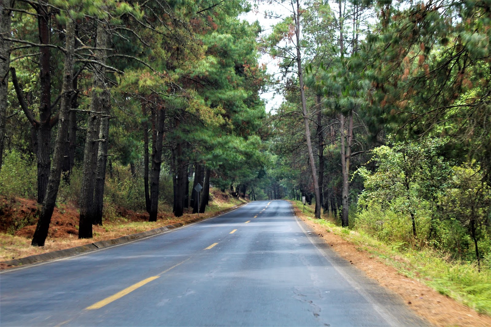 Living and Boondocking in Mexico Ario de Rosales Day Trip