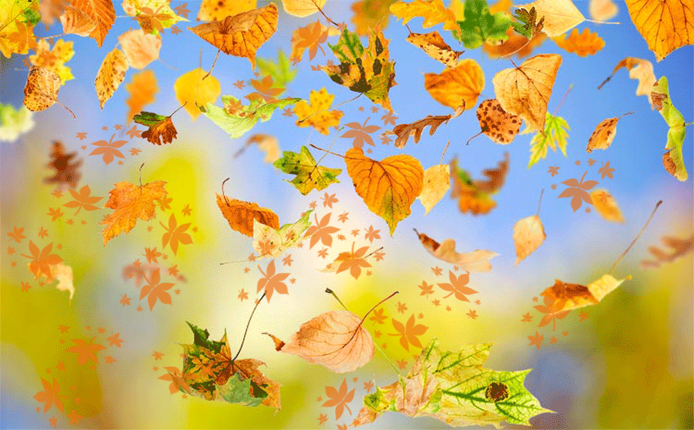 Осень листьями кружит. Осенний листопад. Падающие листья. Осень листопад. Осенний фон.