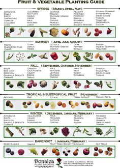 vegetables images