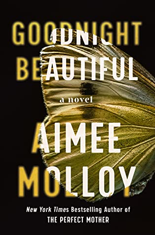 Review: Goodnight Beautiful by Aimee Molloy (audio)