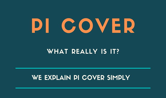 PI Cover What Really is it? #infographic - Visualistan