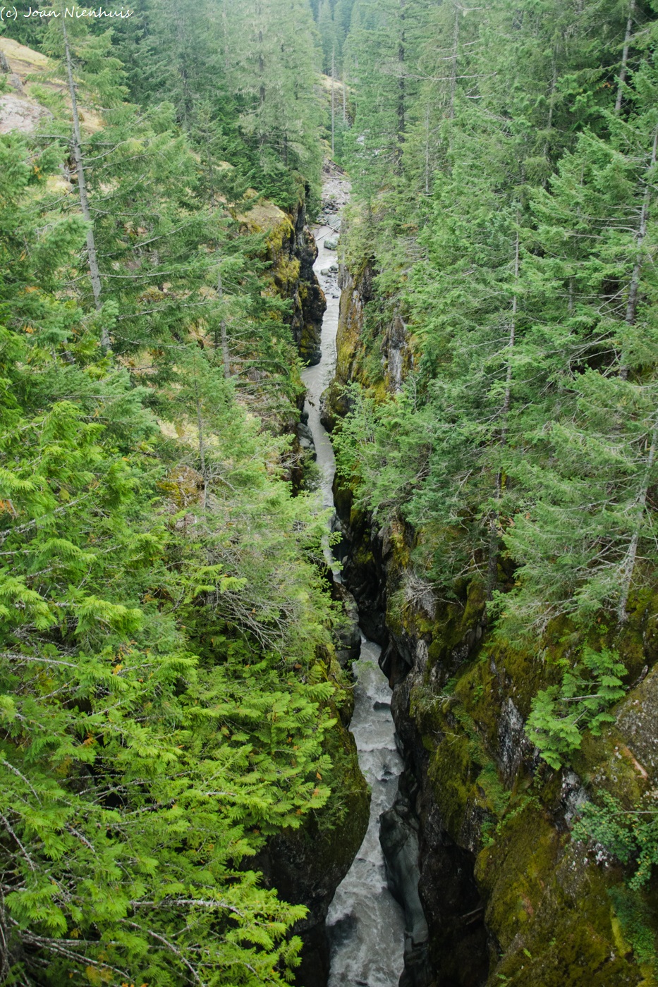 Pacific Northwest Photography Mt. Rainier National Park Box Canyon