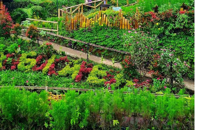 Taman Bunga Desa Wisata Pujon Kidul, Malang