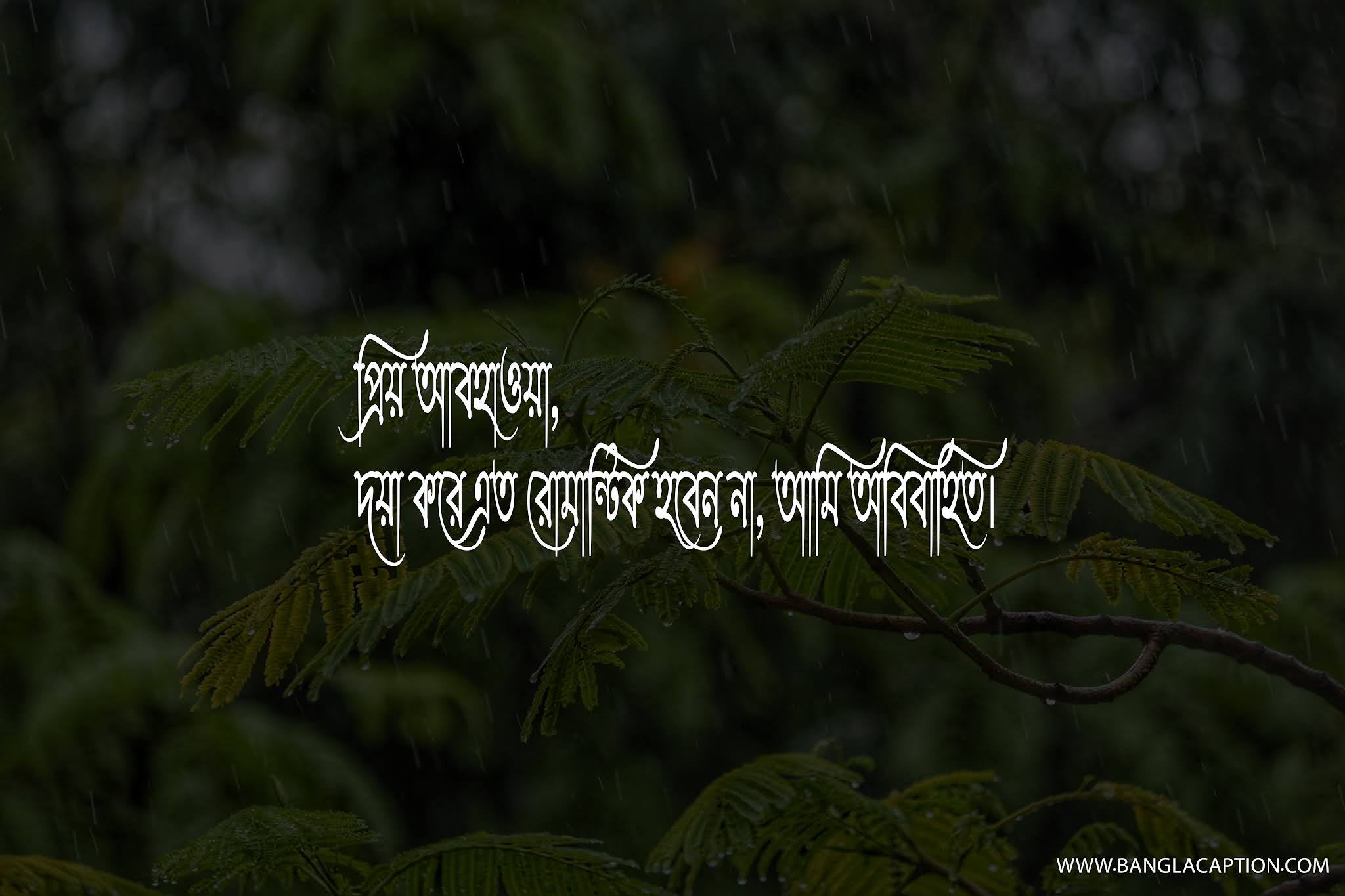 সিঙ্গেল লাইফ স্ট্যাটাস/Single Life Status Bangla/NEW