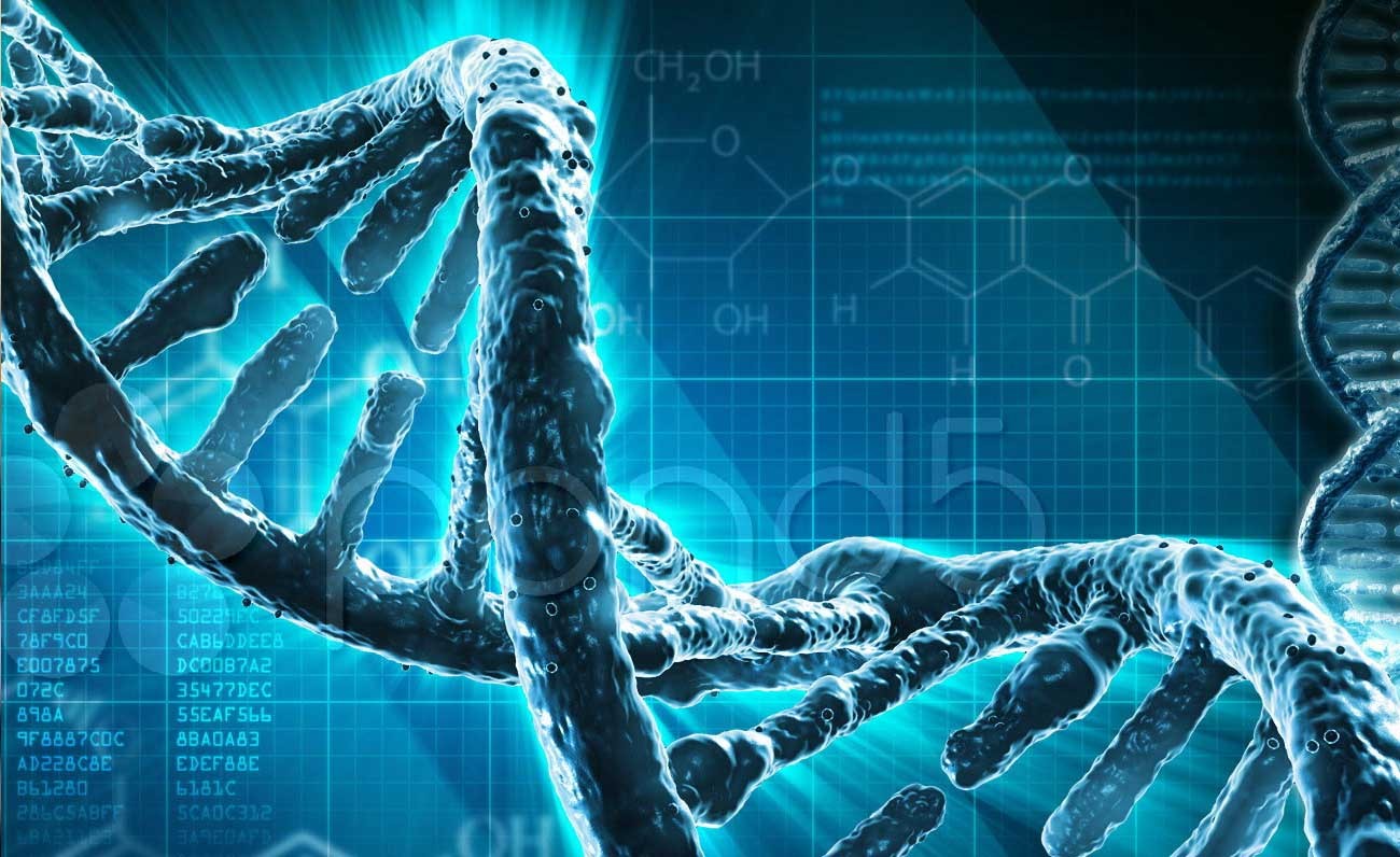UNA MUTACIÓN EN LA EVOLUCIÓN BIOLÓGICA