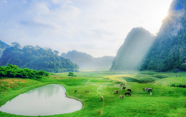 Tiên cảnh thảo nguyên xanh tuyệt đẹp cách Hà Nội hơn 100km