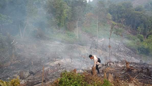 bekas kebakaran hutan di Agam