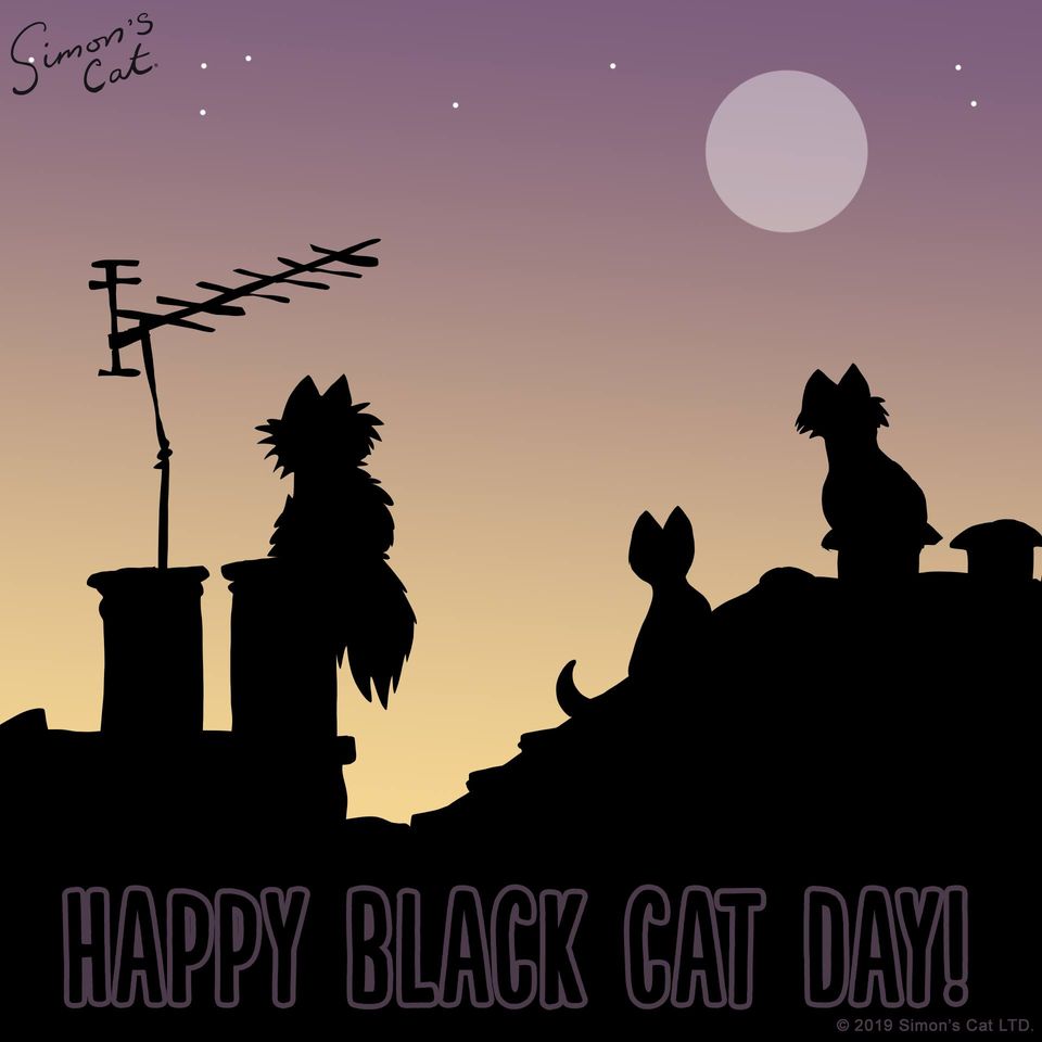 National Black Cat Day Wishes Photos