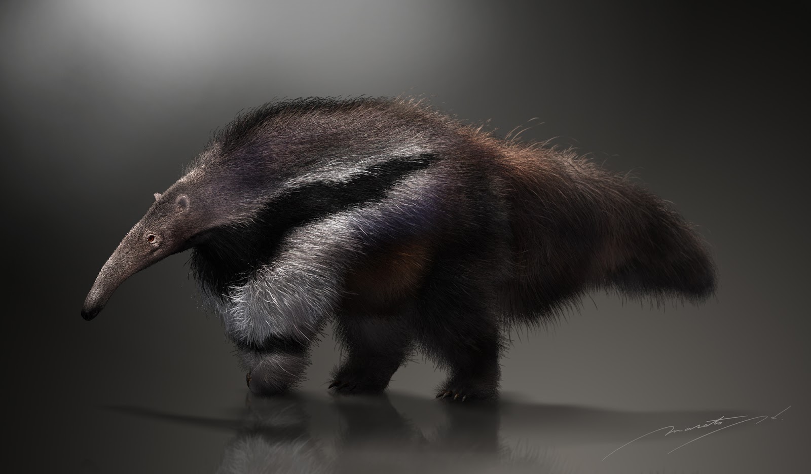 Marchan Blog アリクイとラクダ Anteater And Camel