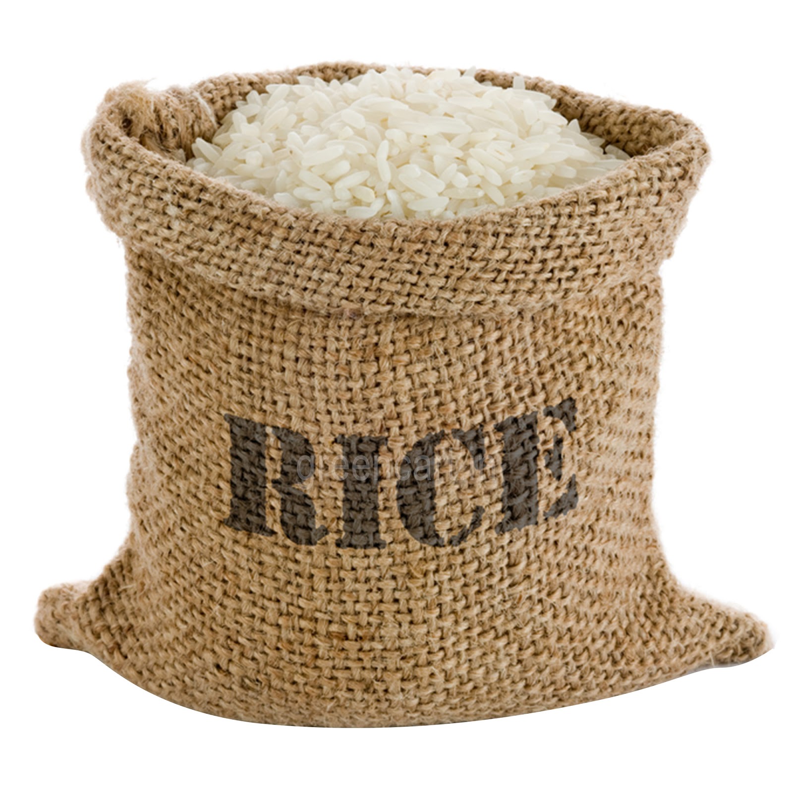 My addiction to white rice Life Of a Cryptic