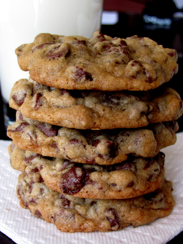 Bring Me Sugar ChockFull of Chocolate Chips