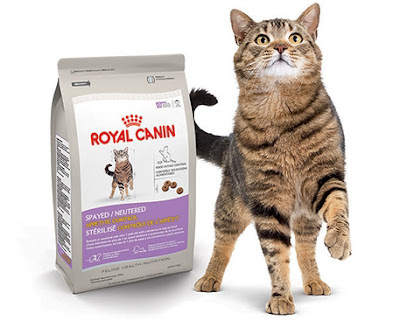 thuc-an-nhim-royal-canin.jpeg thuc-an-nhim-royal-canin.jpeg