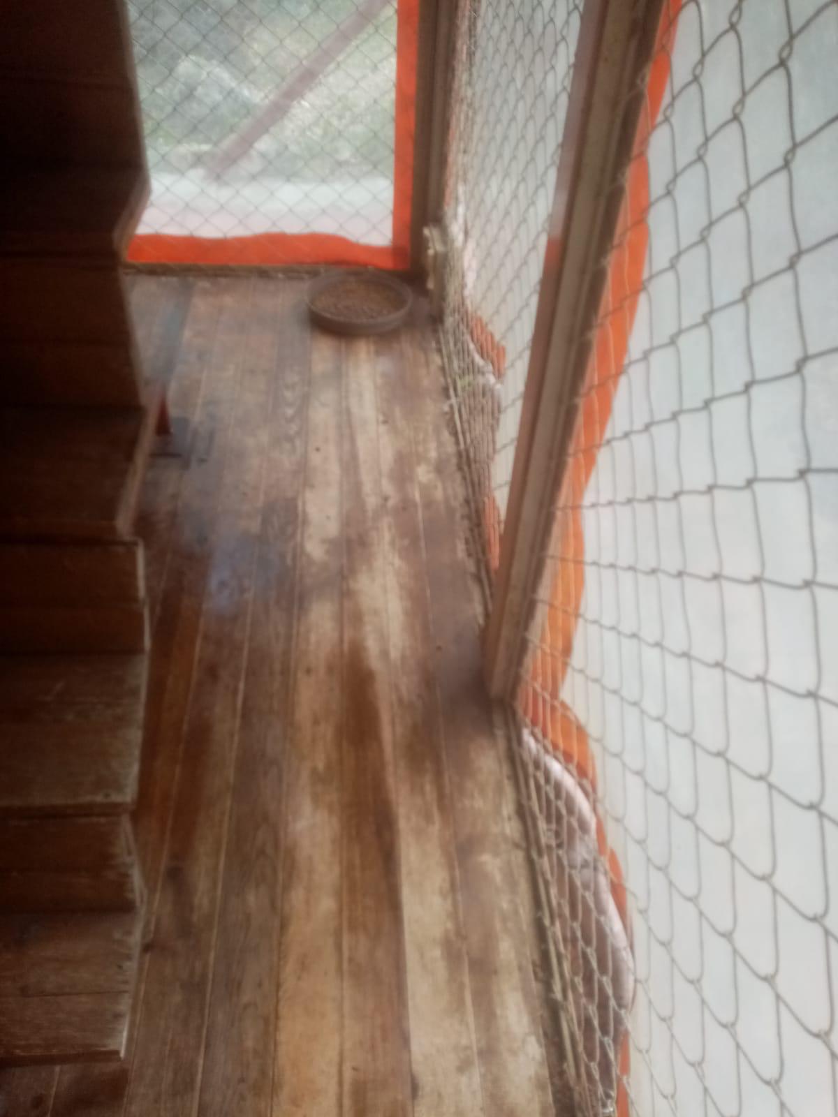 PaKoDer AKM Kedi Evi Dezenfekte Edildi