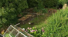 Propagate Begonia Stem Cuttings In Water Cane Like Angel Wing