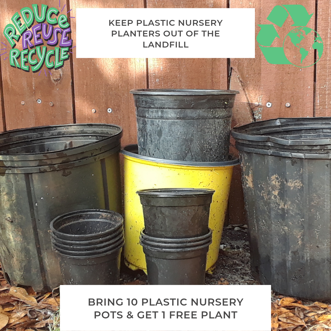 Where To Find Free Nursery Pots and Planters