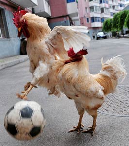 Foto-foto Binatang lucu - Media Belajarku