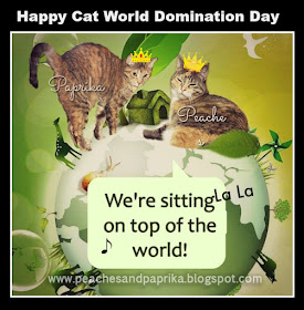 Peaches And Paprika Cat World Domination Day 2018