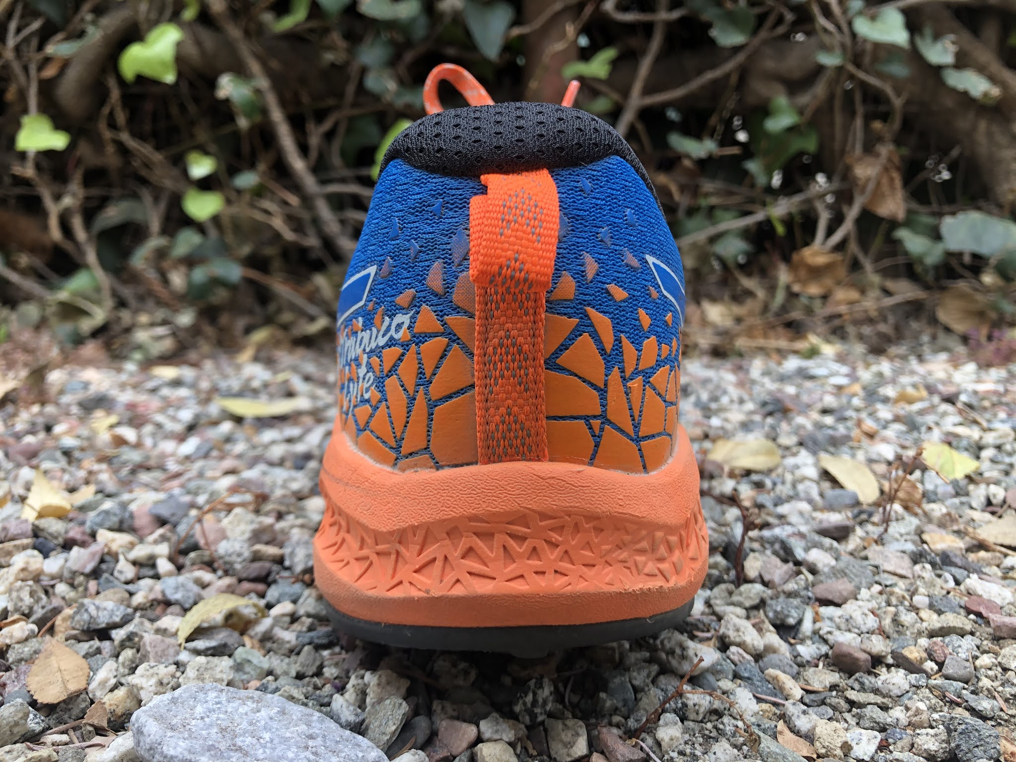 fujitrabuco lyte review